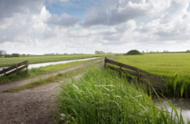 Nieuwe satelliet Sentinel-1 C