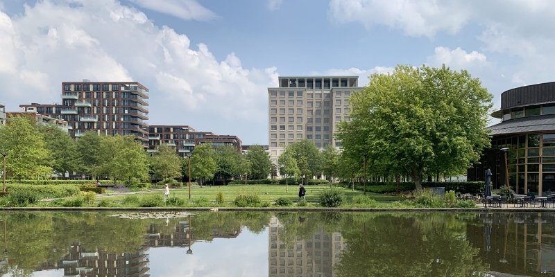 Rijnboutt
